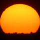 Illustration for article titled 166 Sunrises and Sunsets